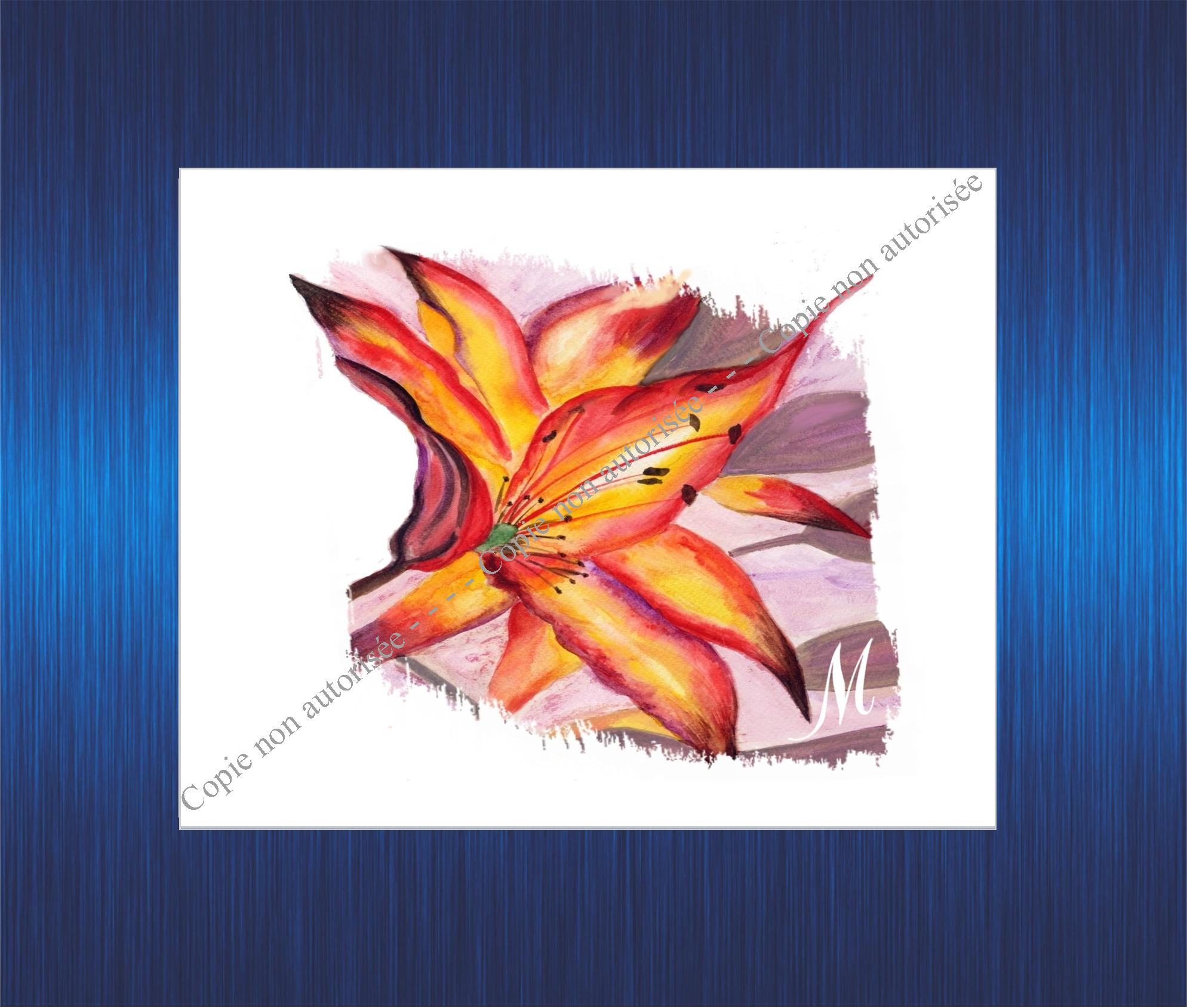 161m-aquarelle-flamboyant-pour-site-2023-63b2cd9bcd257214188985.jpg