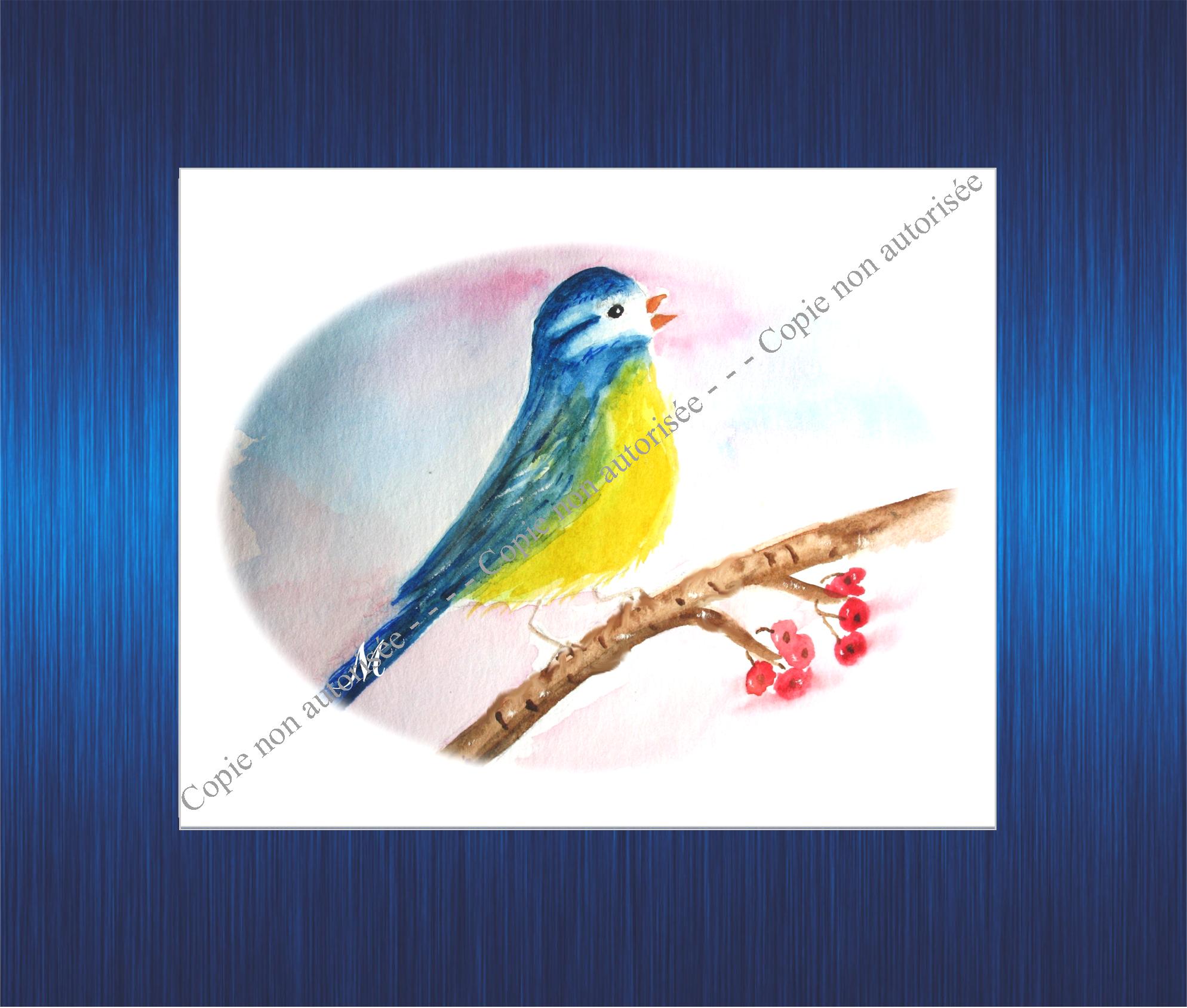 168m-aquarelle-mesange-pour-site-2023-63b2d25917e72899901840.jpg