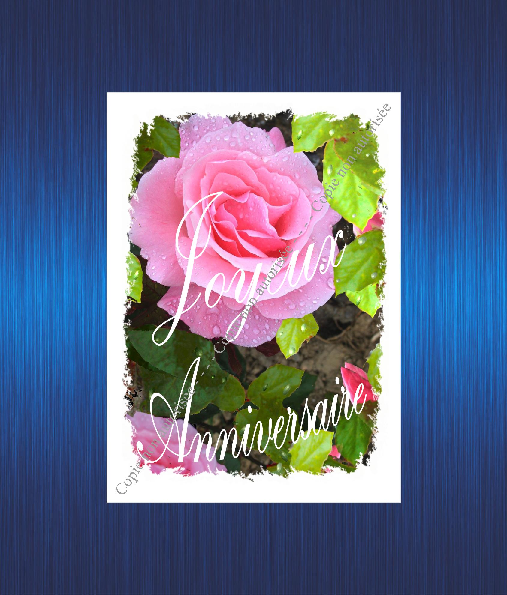 68-joyeux-anniversaire-rose-rose-pour-site-2023-63b6dfab6a6cd169311910.jpg