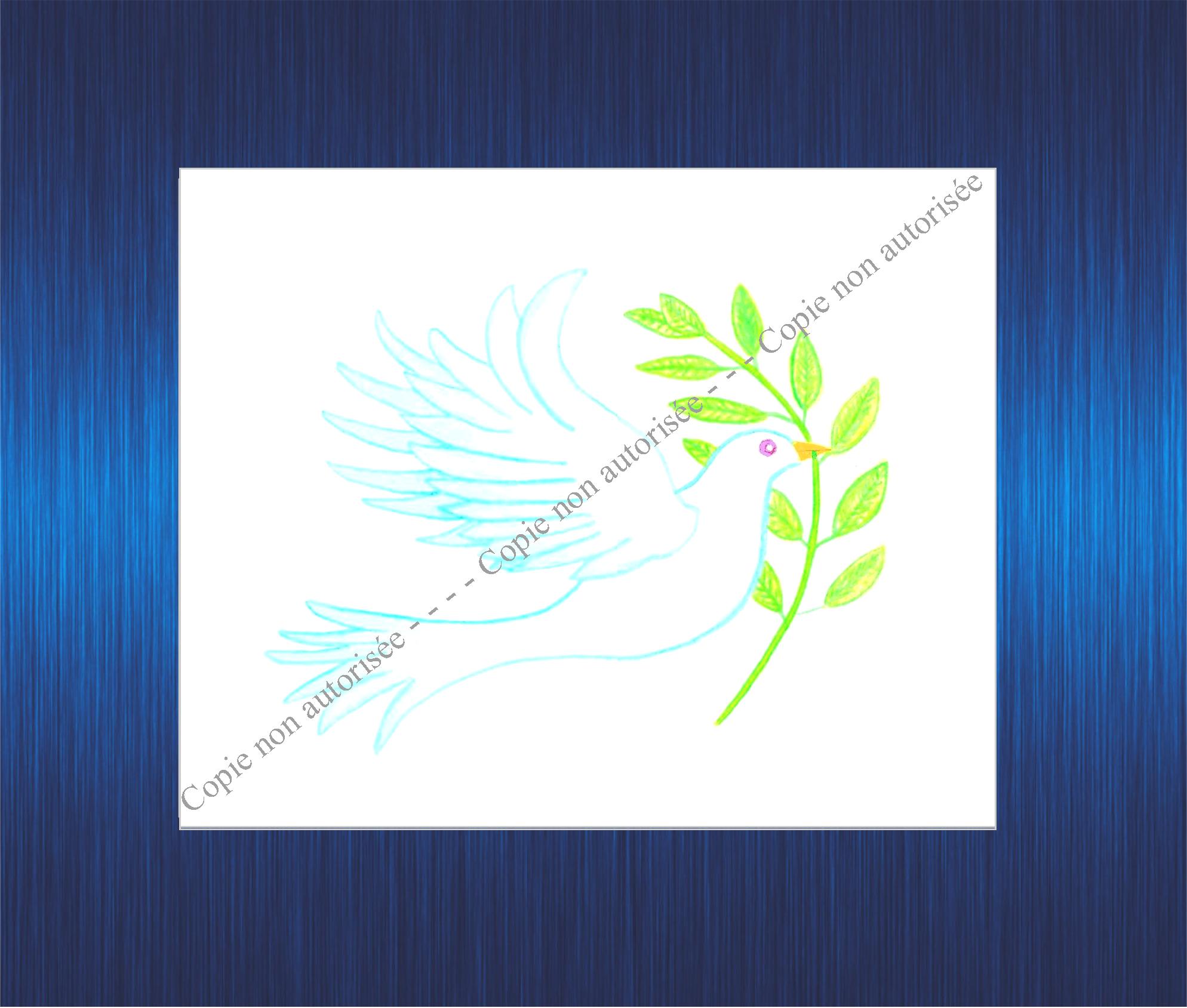 6m-aquarelle-colombe-pour-site-2023-63b2d022928ce776541767.jpg